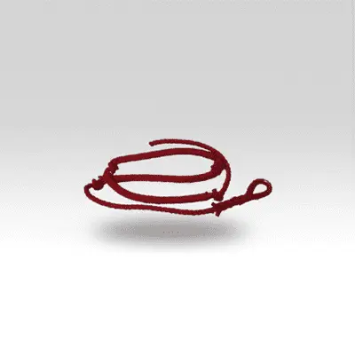 Dây du Billy Pugh Swing Rope